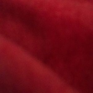 Meet your Posher, Gavin